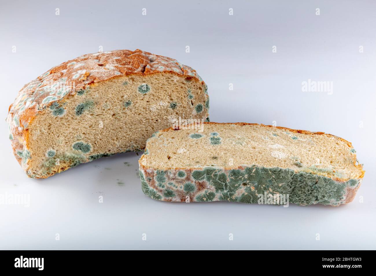 Bread mold hi-res stock photography and images - Alamy