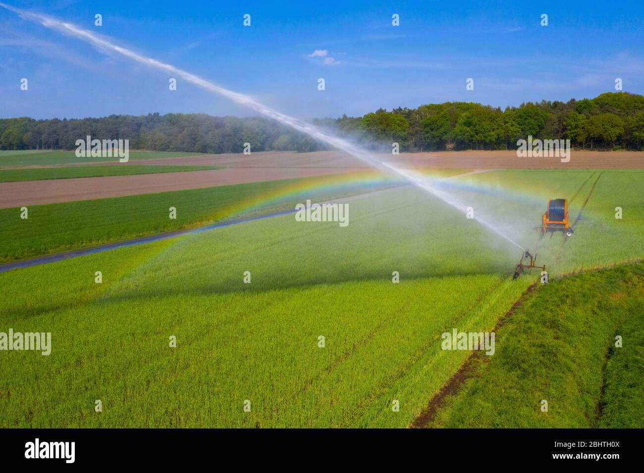 Irrigation of a wheat field on the Lower Rhine, with a mobile sprinkler, large area sprinkler, Germany Stock Photo