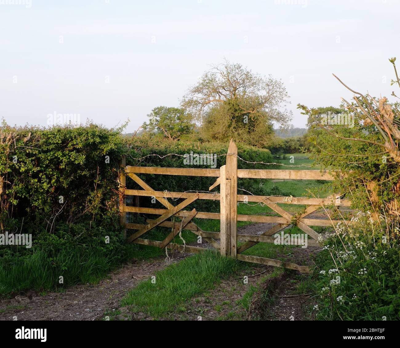 April 2020 - Old wooden farm track gates in the Somerset village of Cheddar Stock Photo