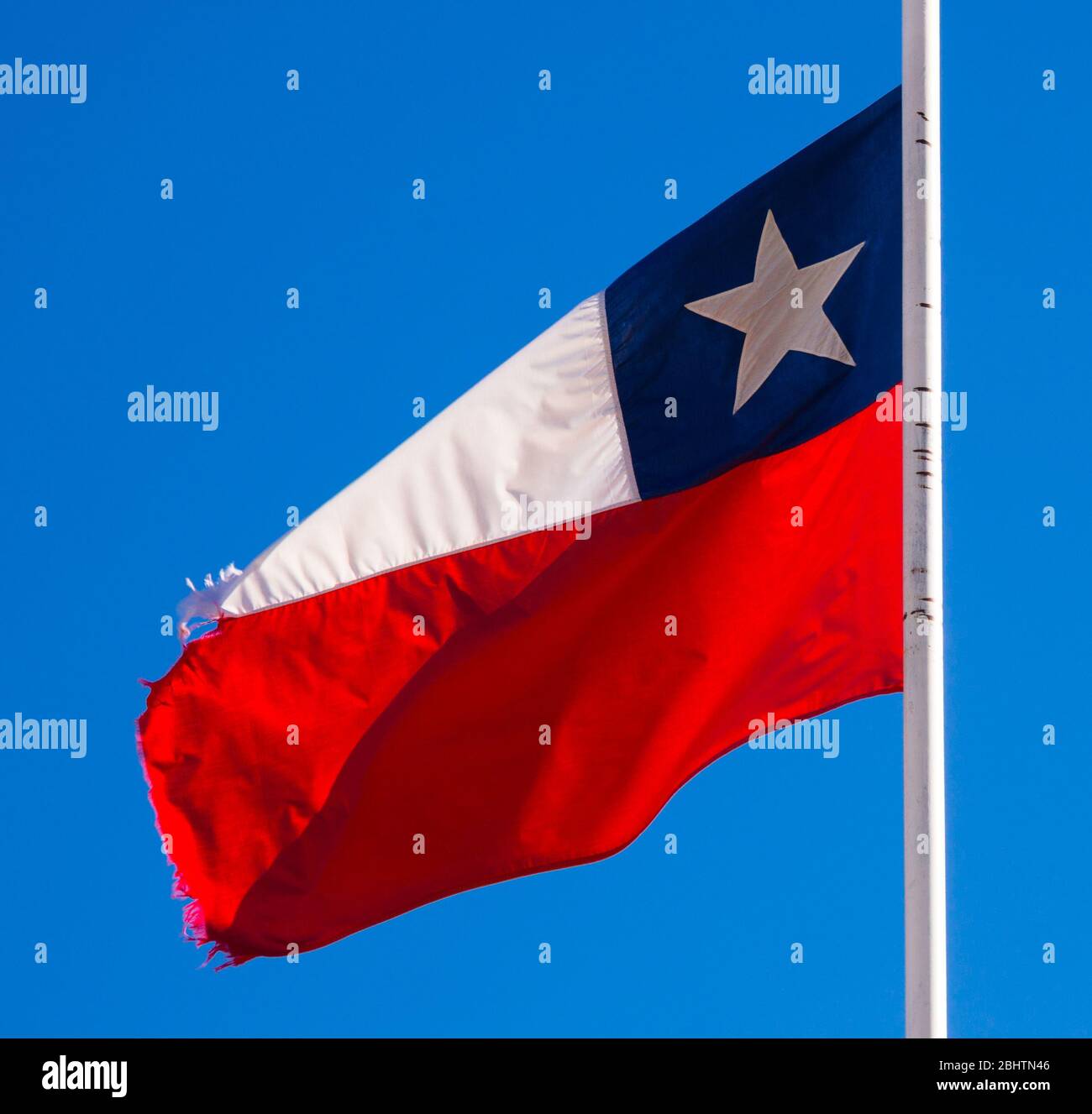 National flag of Chile waving in the strong wind in blue sky Stock ...