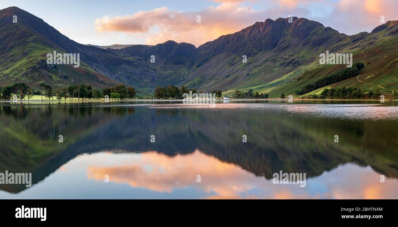 The high peaks of Fleetwith Pike & Haystacks provide an imposing backdrop to the famous Sentinel Pines at the south end of Buttermere during sunrise. Stock Photo