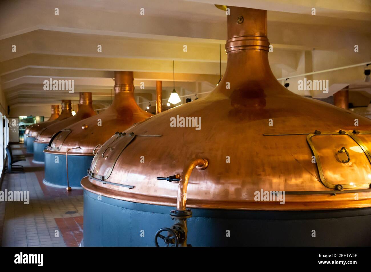 Vintage copper brewing kettles in modern brewery. Equipment for