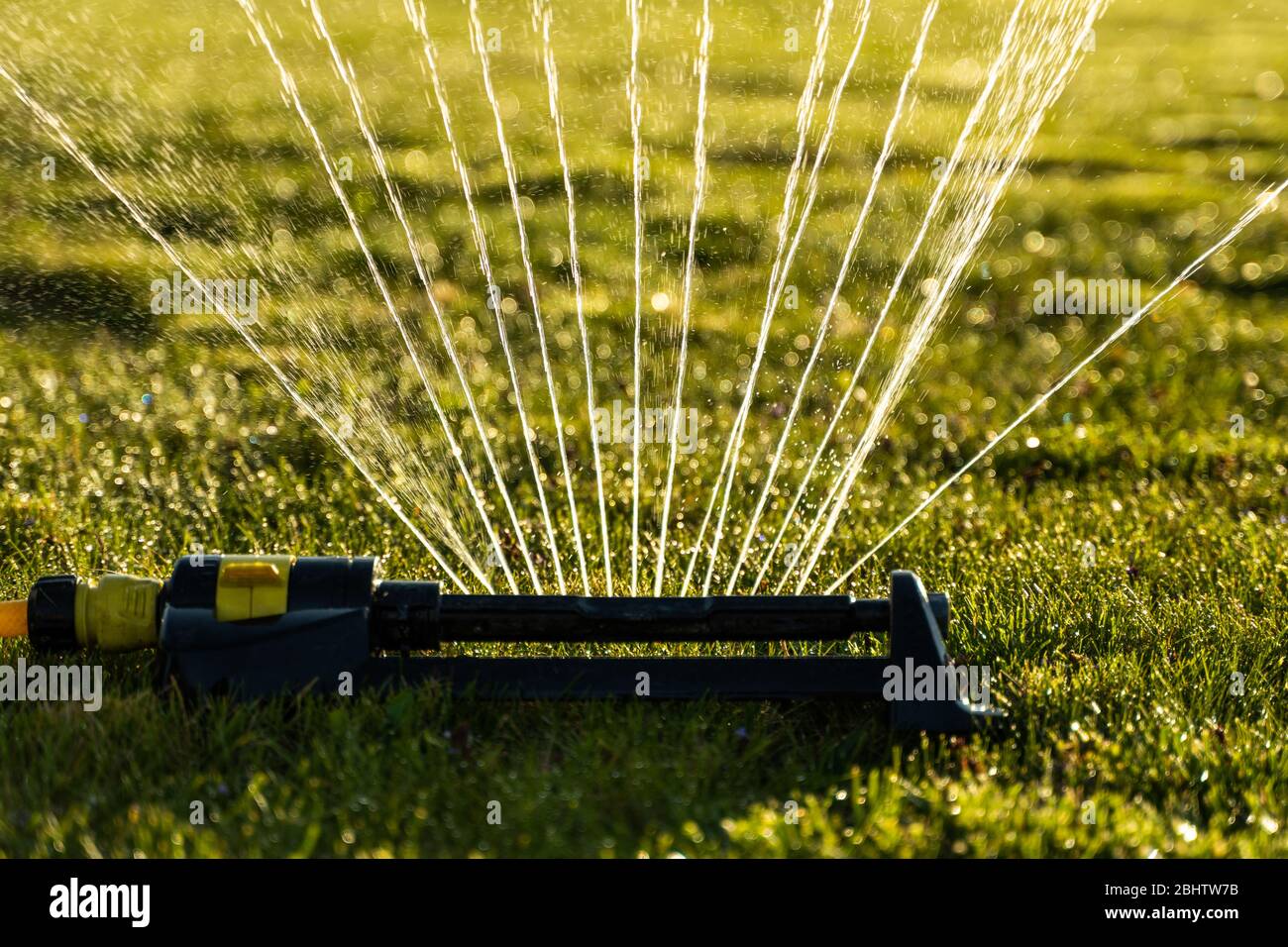 Lawn sprinkler spraying water over green grass. Modern device of