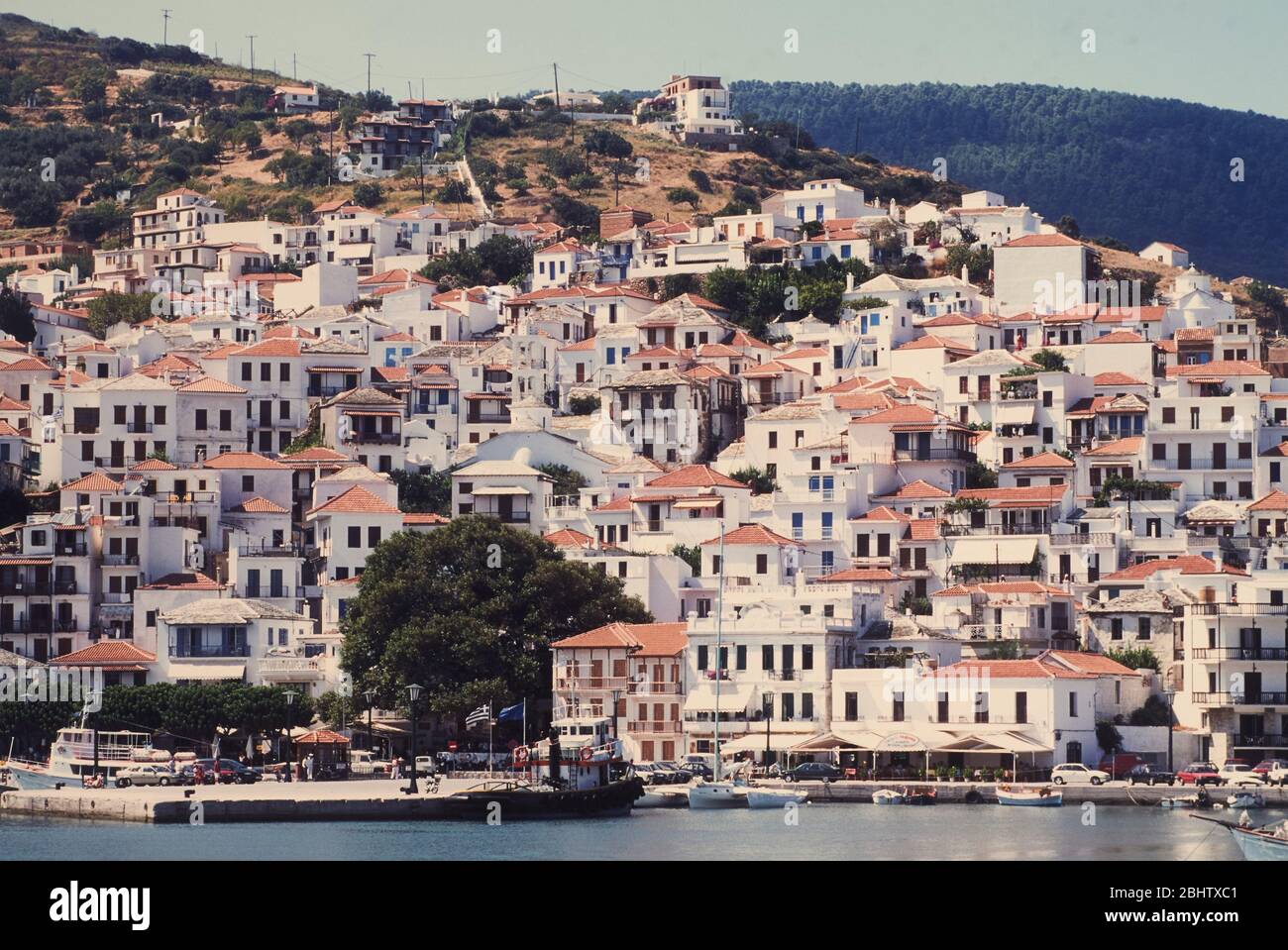 The Greek island of Skopelos. Stock Photo