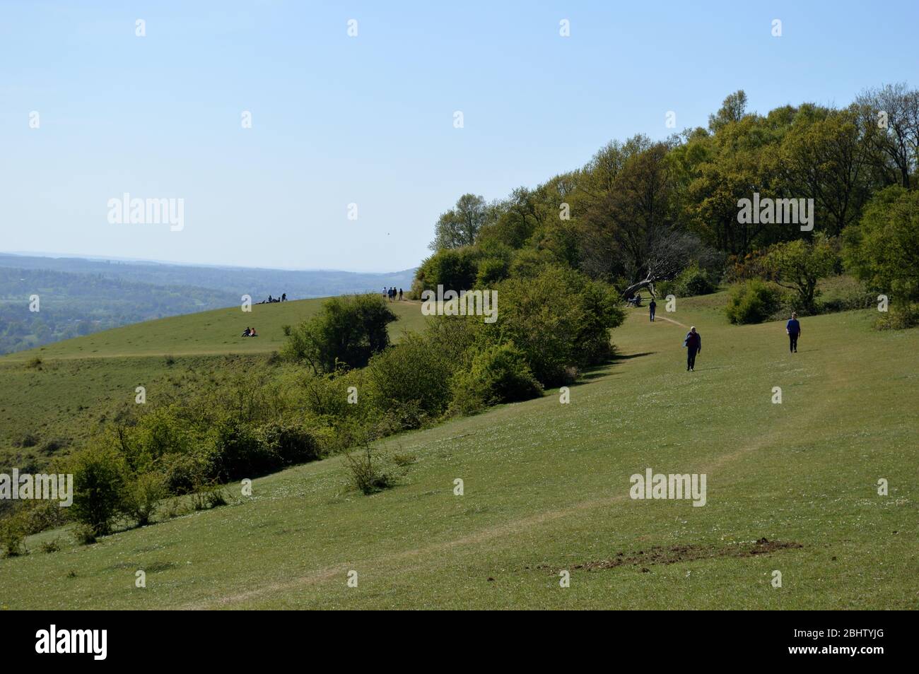 Views of  Reigate hill Stock Photo