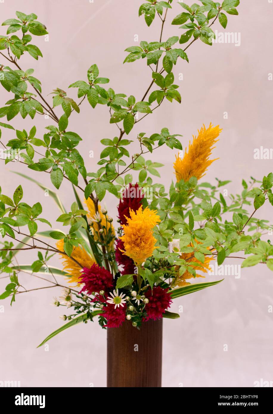 Beautiful Ikebana Japanese art of flower arrangement on white