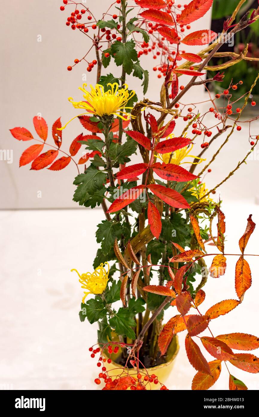 Beautiful Ikebana Japanese art of flower arrangement on white