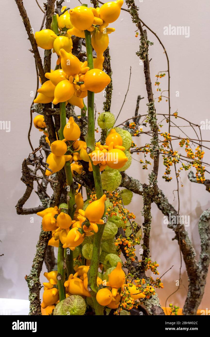 Beautiful Ikebana Japanese art of flower arrangement on white