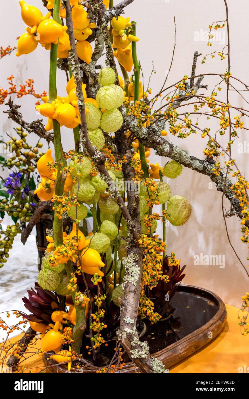 Beautiful Ikebana Japanese art of flower arrangement on white
