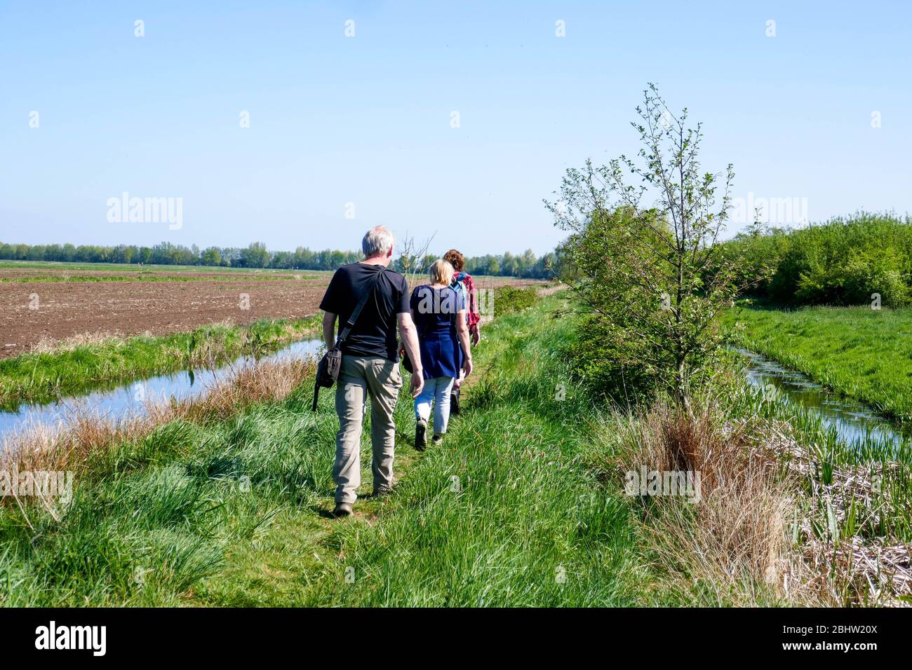 people walking on small path through rural area 'het groene hart' in west Holland Stock Photo