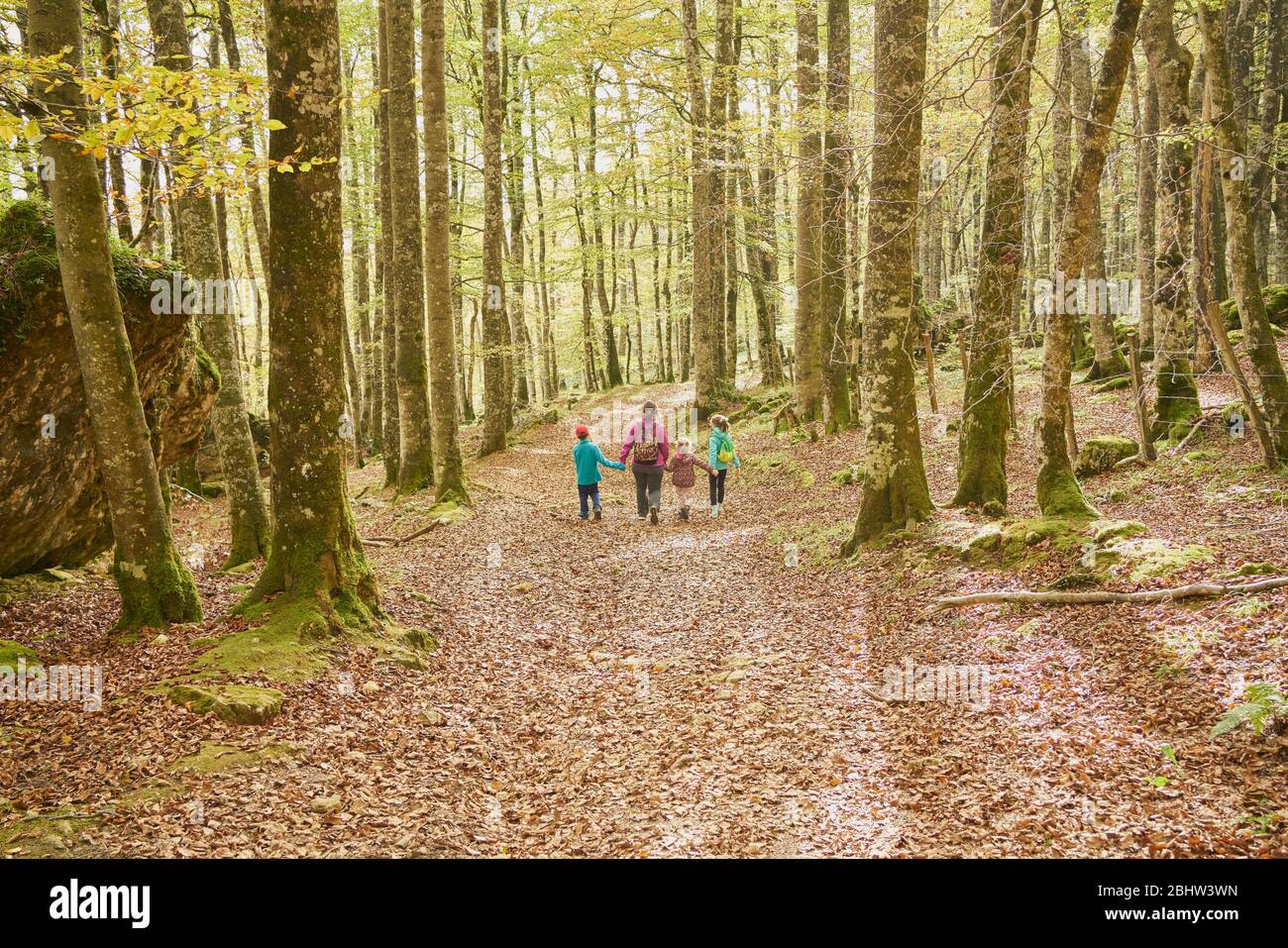 Kids walking wood bridge hi-res stock photography and images - Alamy