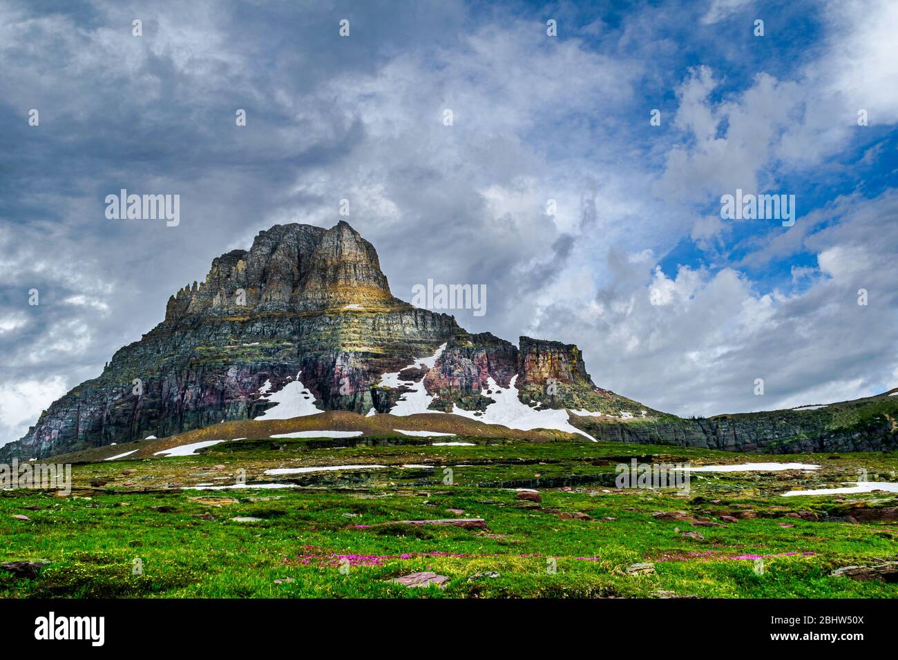 4820 A break in the storm clouds highlights the Clements Mountain meadow of wildflowers at Glacier National Park, Montana Stock Photo