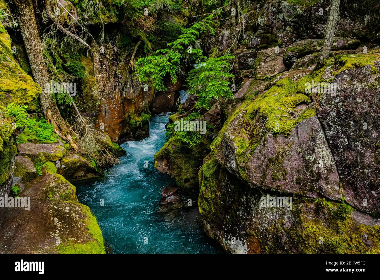 4811  Vivid blue waters and colorful foliage of Avalanche Creek at Glacier National Park Stock Photo