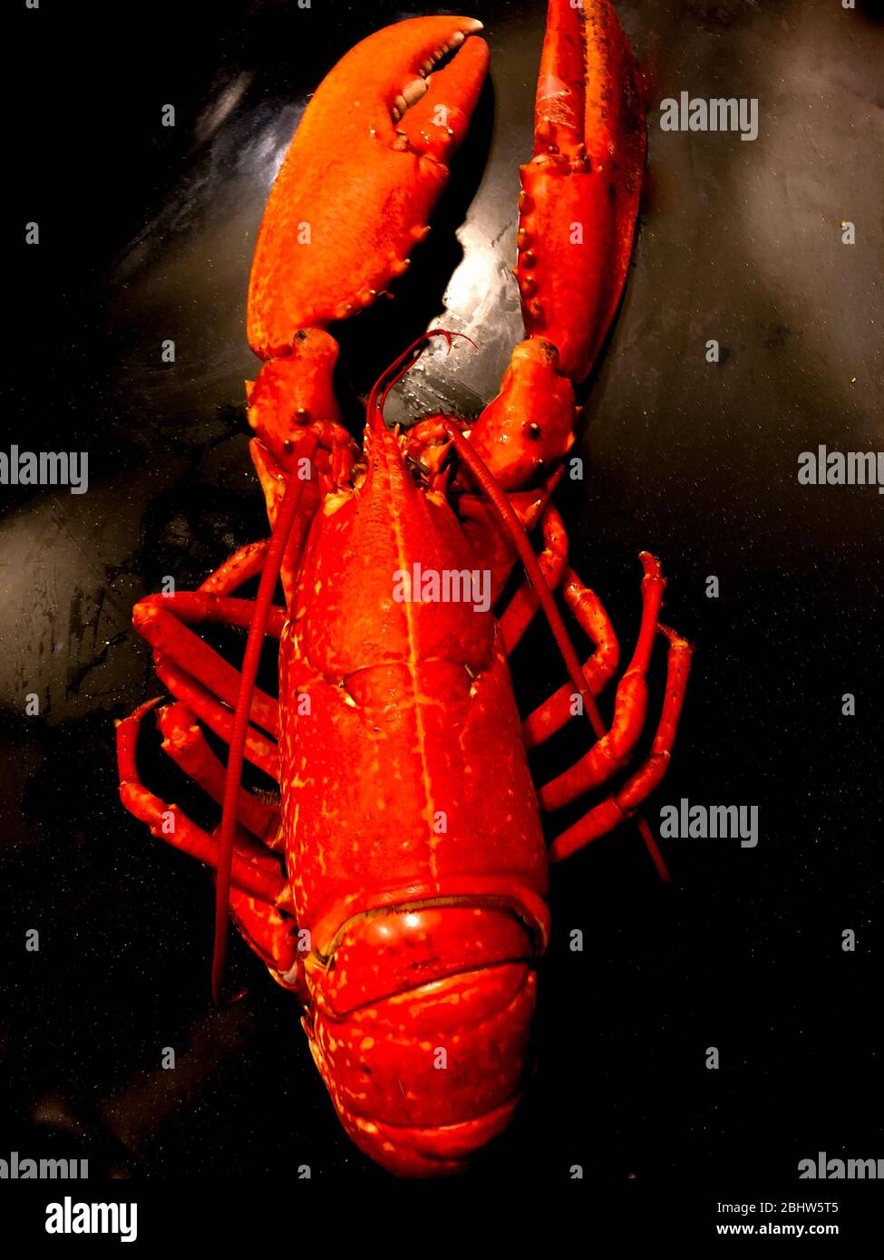 Lobsters Stock Photo