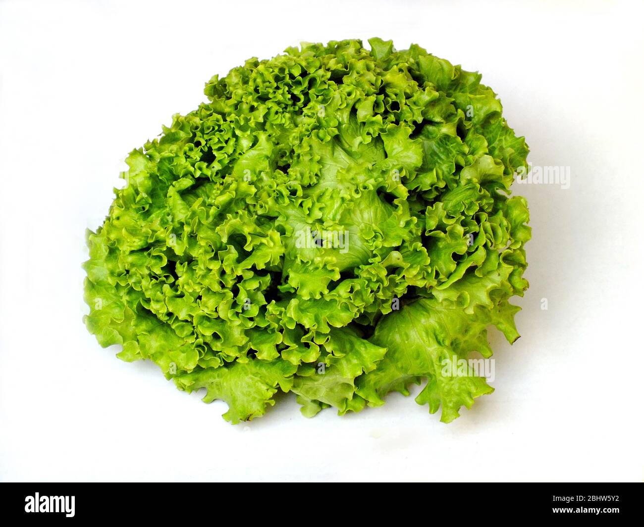 Lettuce Stock Photo