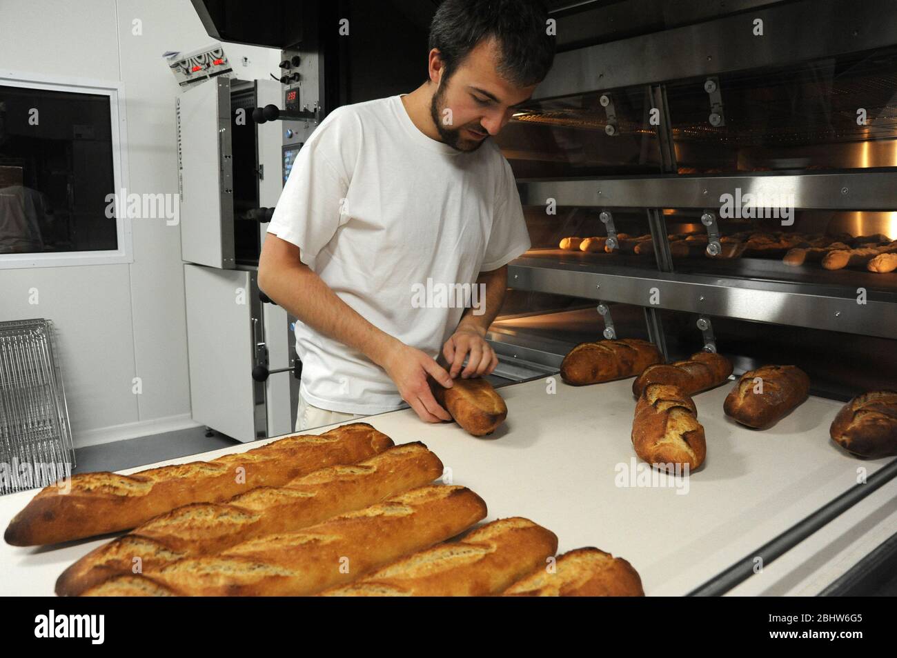 Manufacture of organic bread Stock Photo