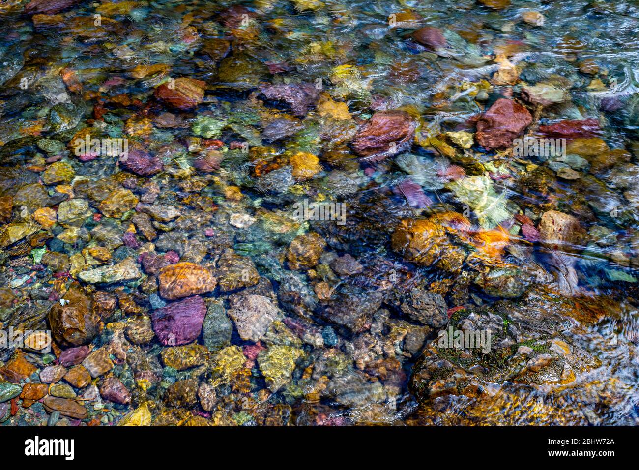 4782 Colorful patterns at play as sunlight enhances the rocks in the Avalanche Stream at Glacier National Park Stock Photo