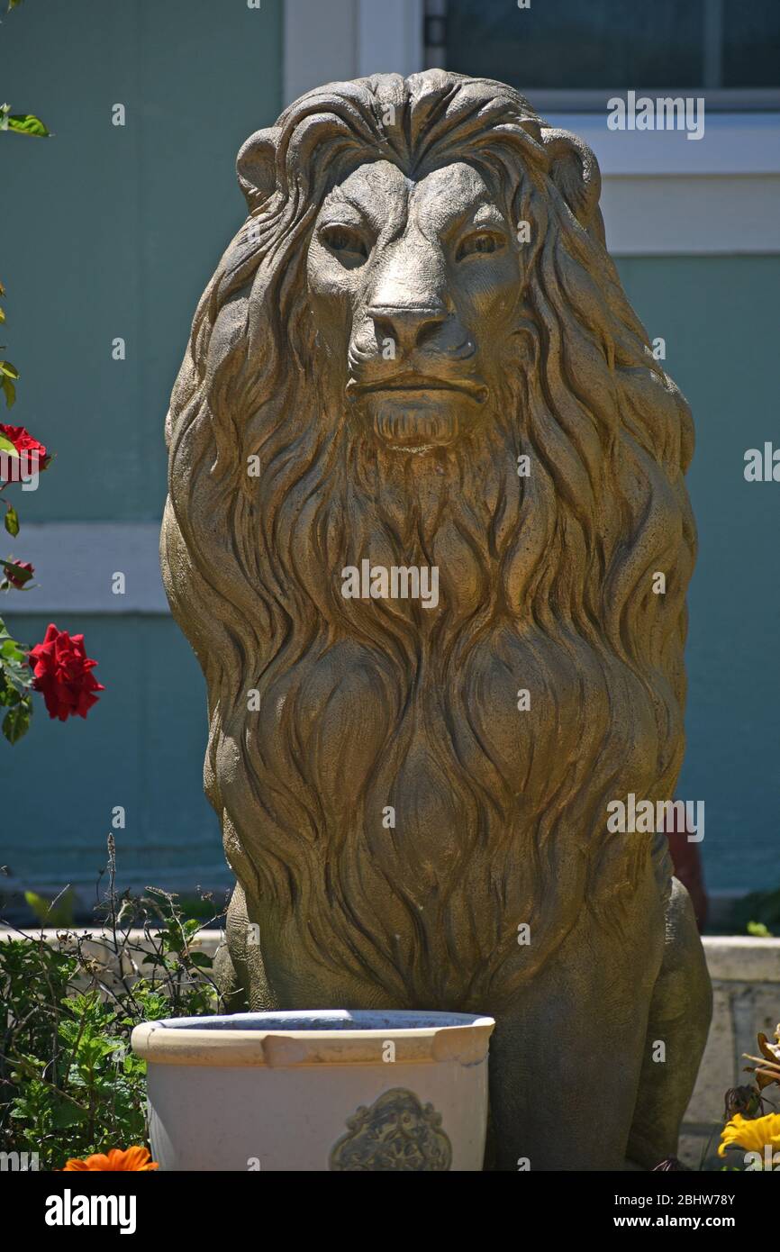 Lion Yard Statue Stock Photo Alamy