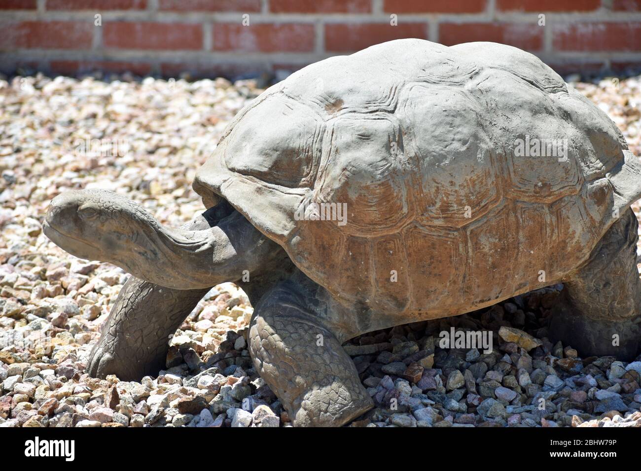 Tortoise Yard Statue Stock Photo Alamy