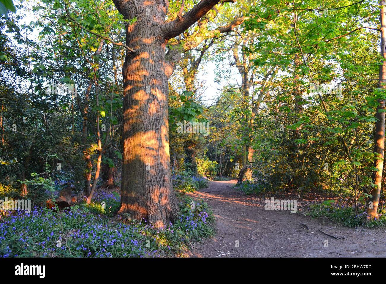 of-beckenham-hi-res-stock-photography-and-images-alamy
