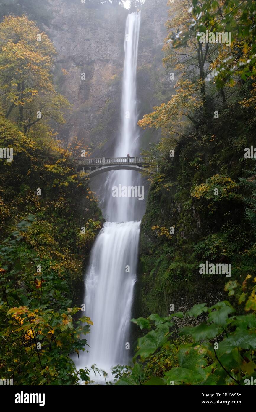 Multnomah Falls and famous bridge over the flowing water in the Columbia River Gorge of Oregon in autumn Stock Photo