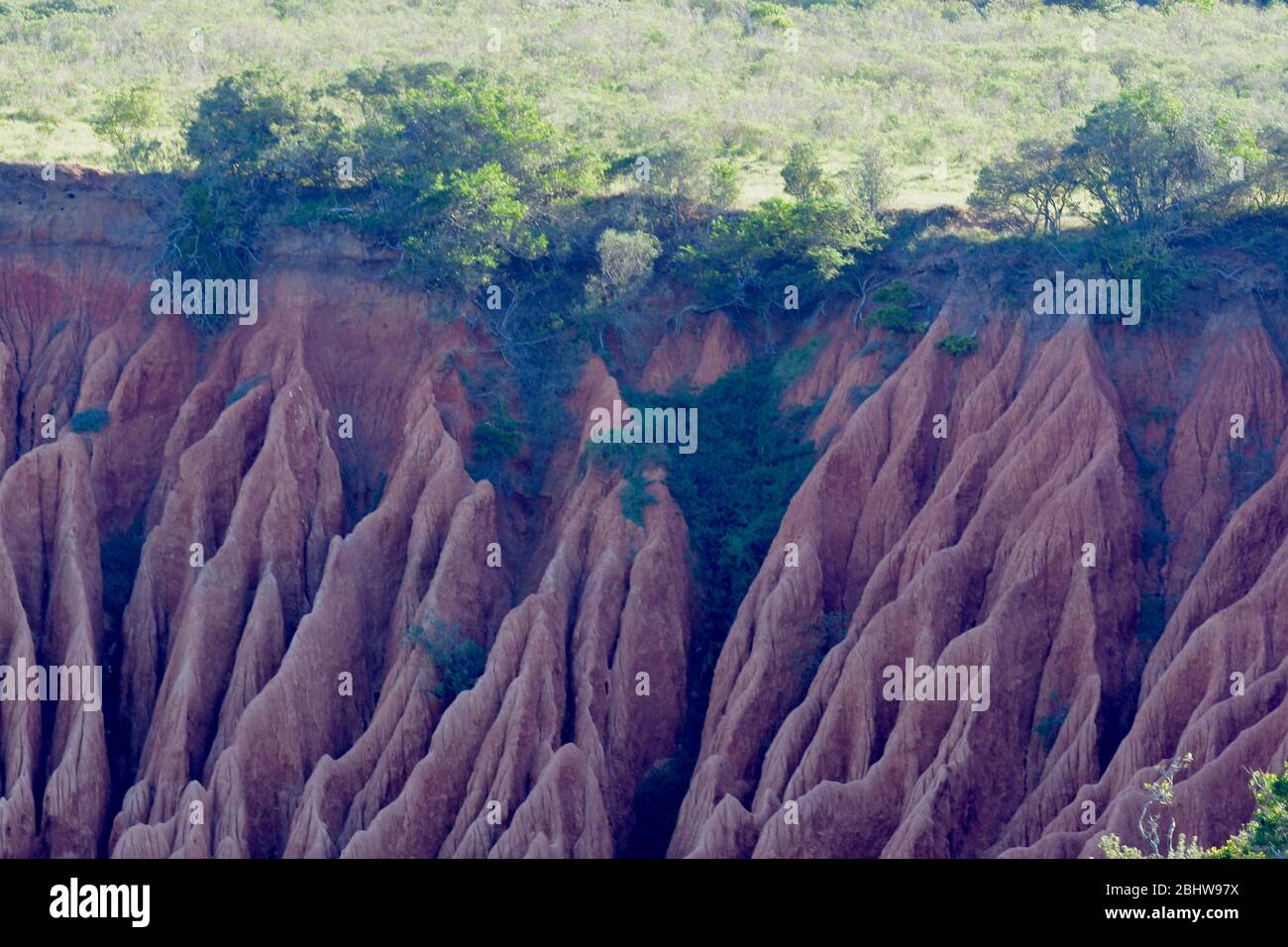 Serious soil erosion in Addo Elephant National Park, South Africa Stock Photo