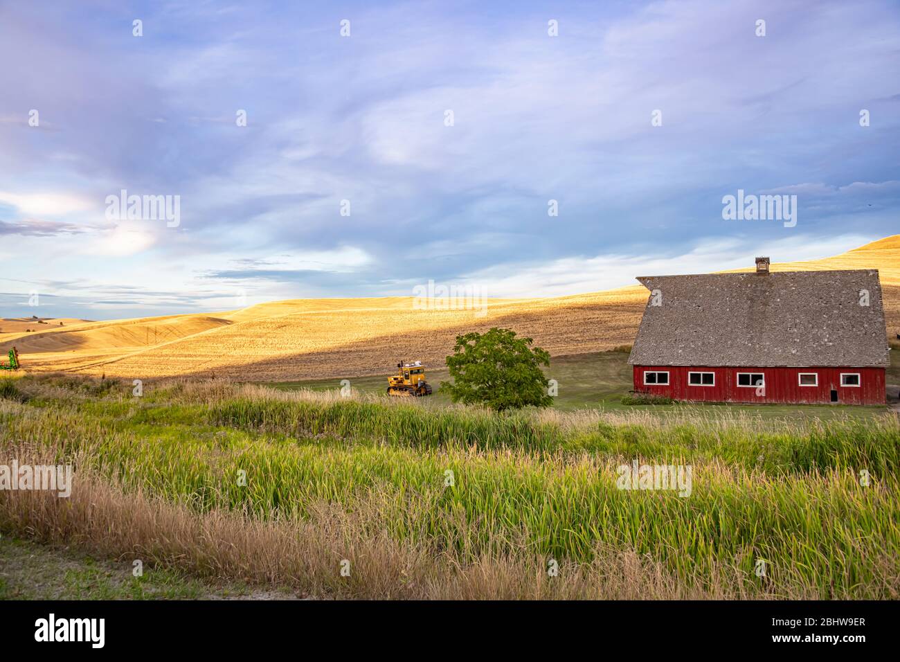 Red Barn in rolling wheat Fields, Palouse, Washington Stock Photo