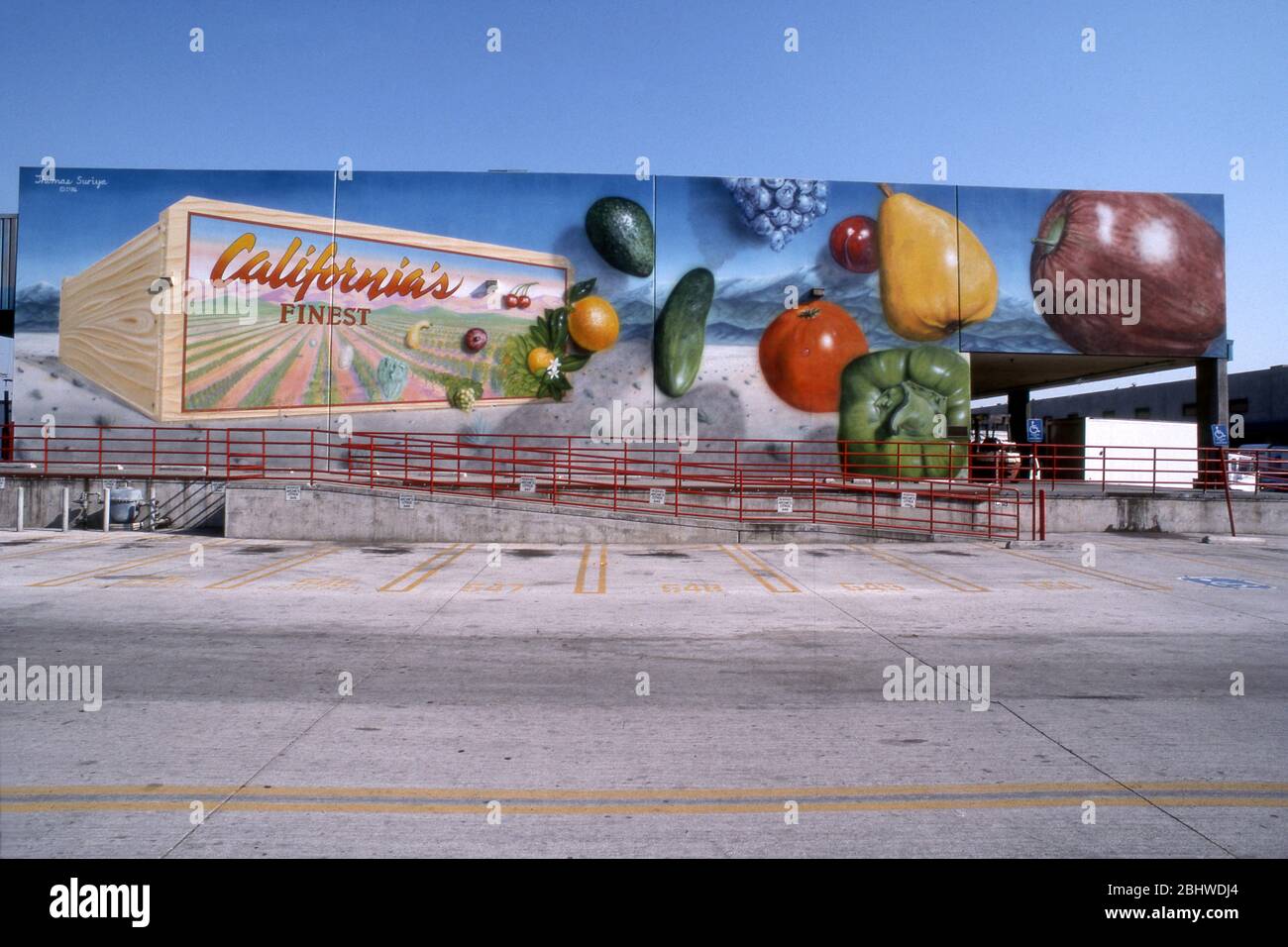 Mural by artist thomas Suriya depicting fresh fruits and vegetabels at