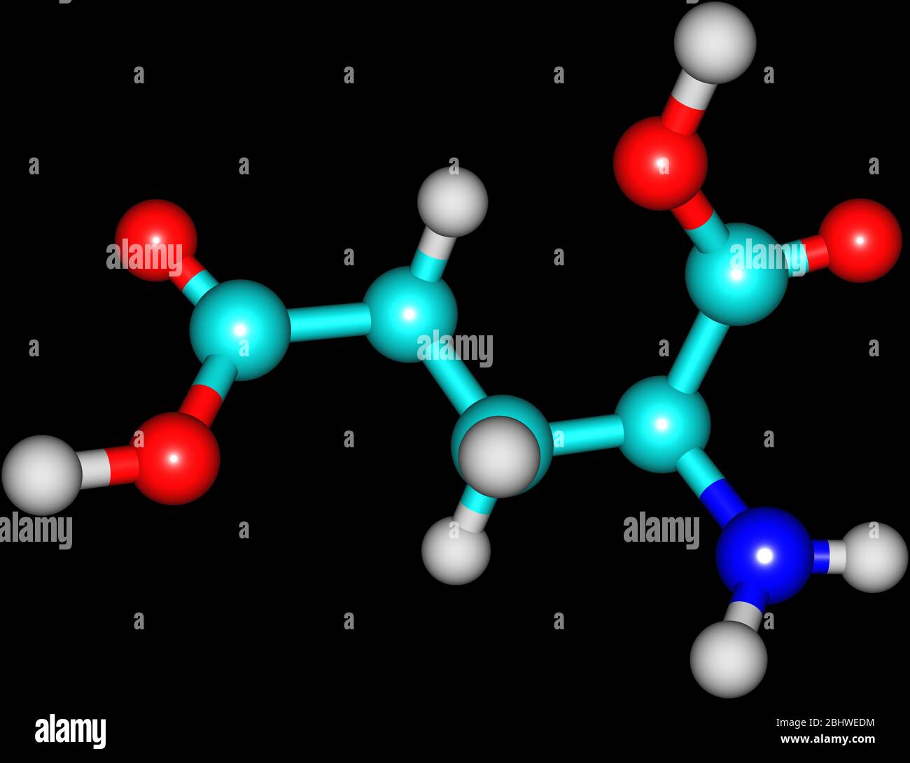 A model of Glutamic Acid, an amino acid. It has an important function in cell metabolism and