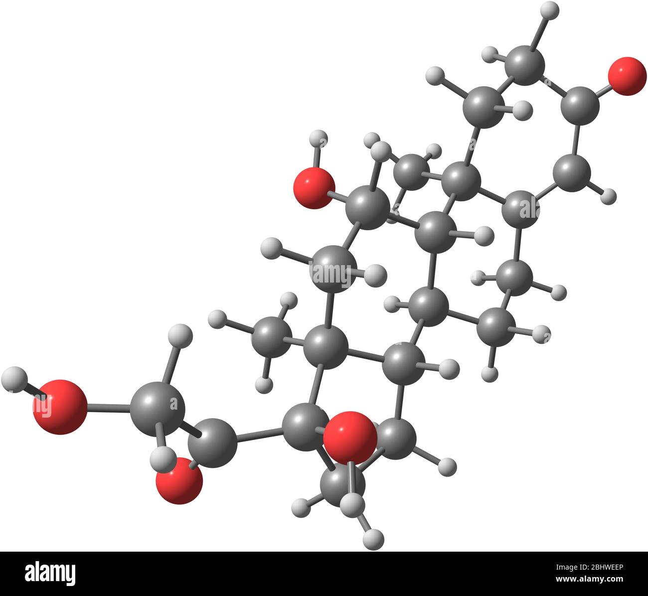 Adrenal gland hi-res stock photography and images - Alamy