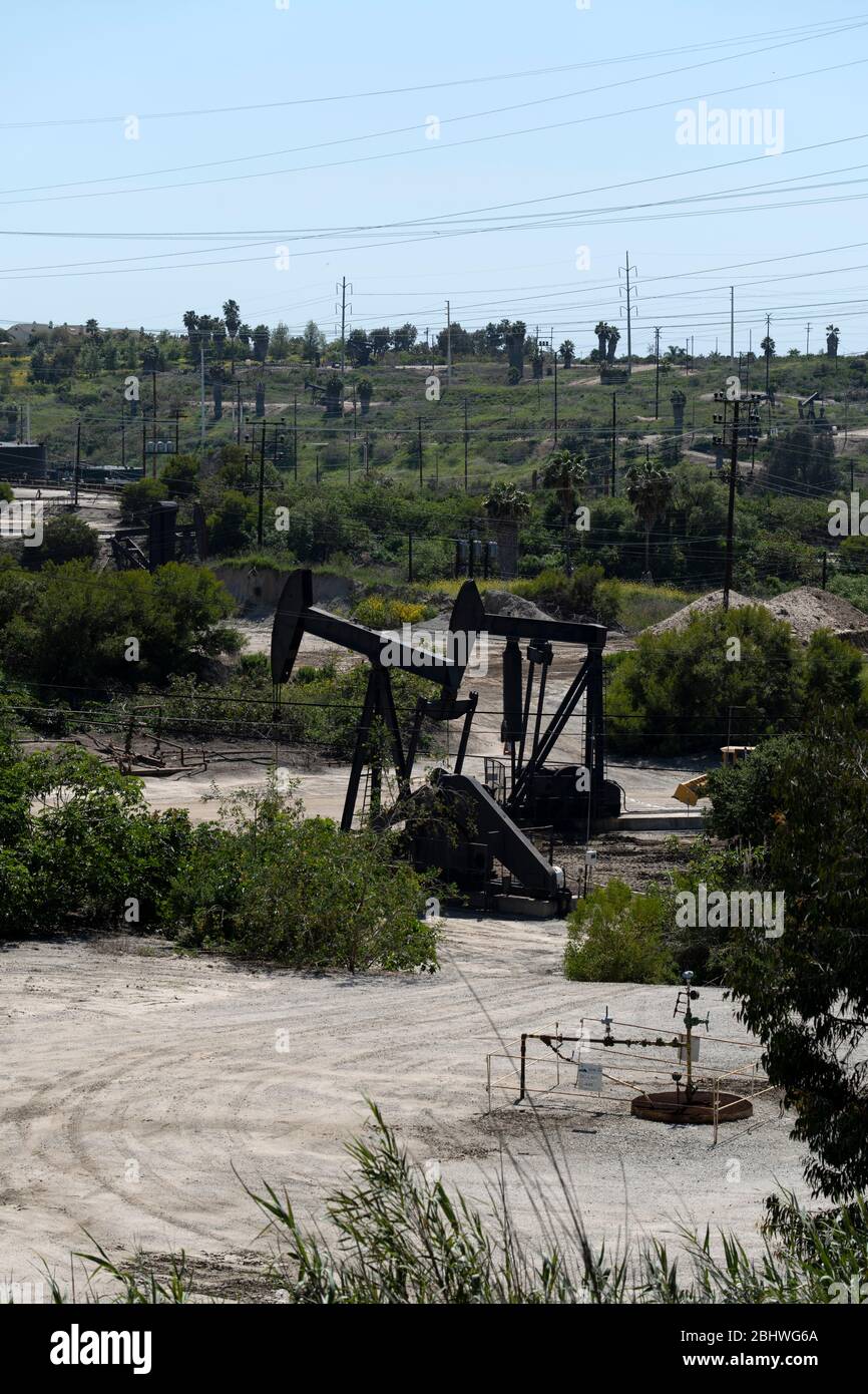 Pump jacks working in a large oil field Stock Photo Alamy