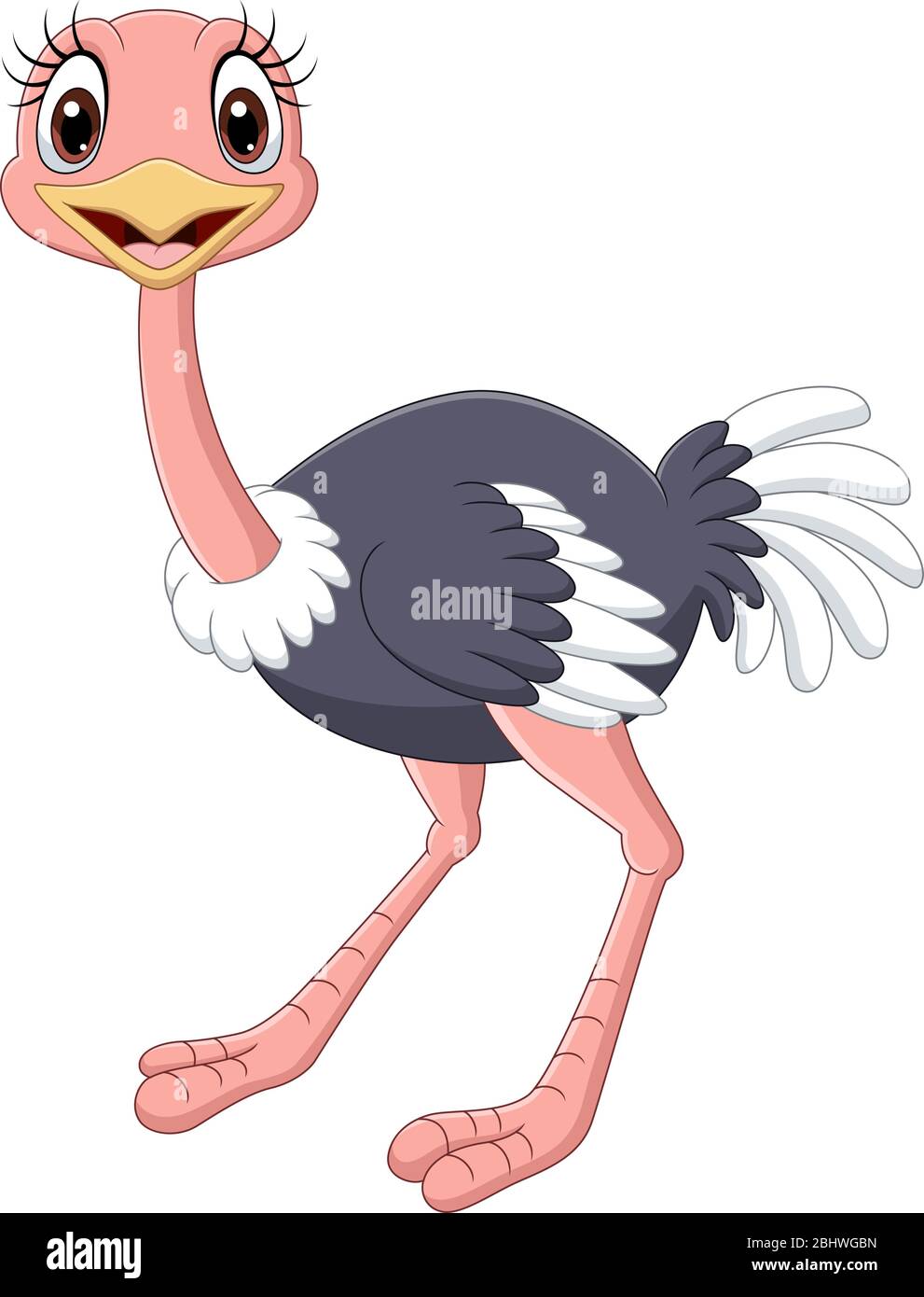 Ostrich cartoon hi-res stock photography and images - Alamy