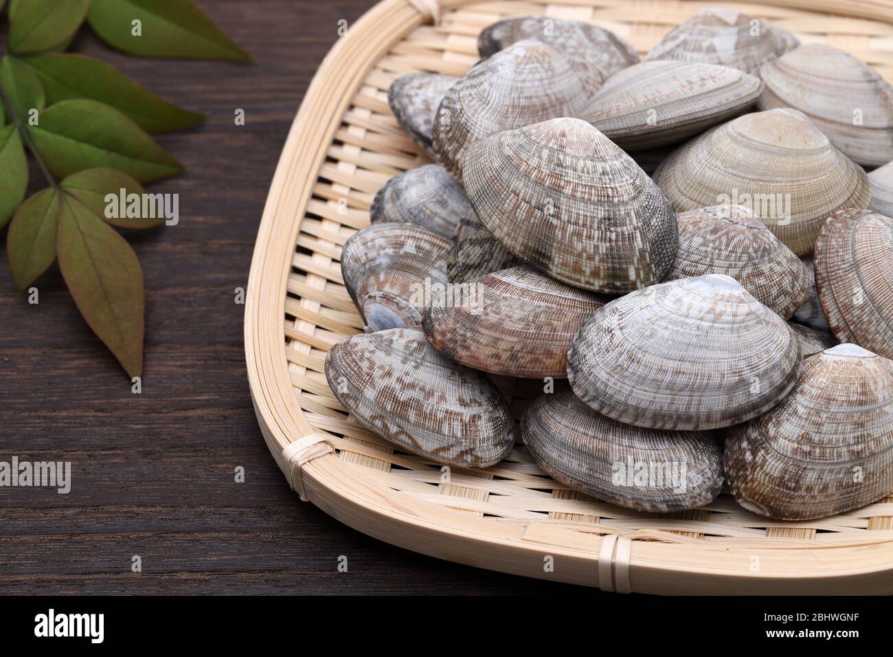 Bamboo clams hires stock photography and images Alamy
