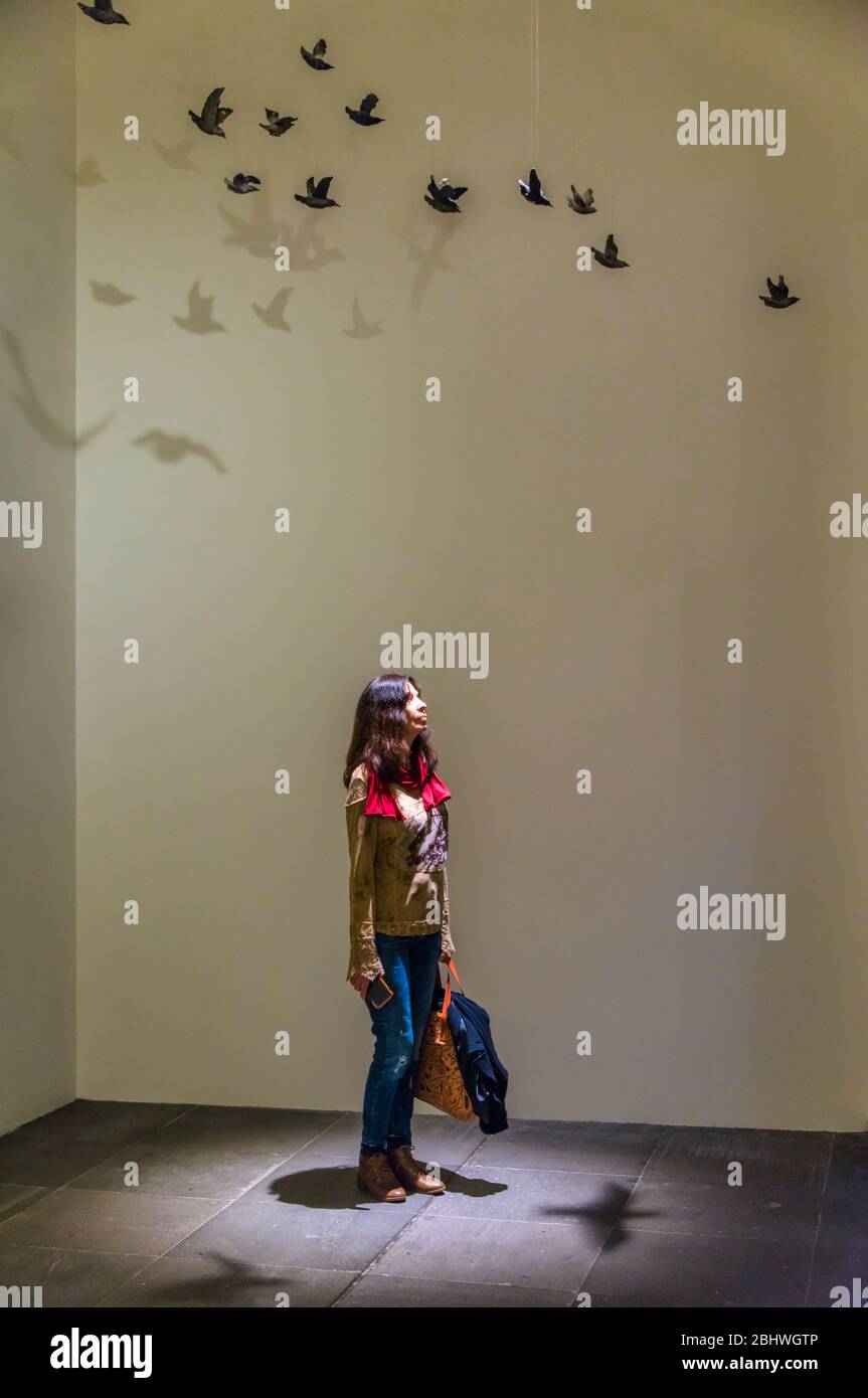 Tourist stands admiring an art installation at the National Gallery of Victoria in Melbourne. Stock Photo
