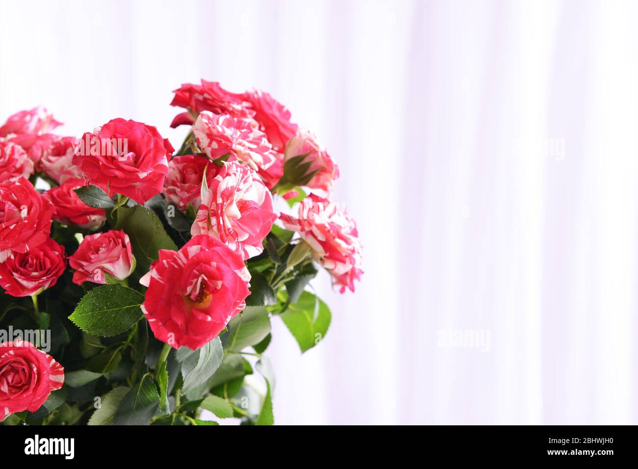 Beautiful roses on light background Stock Photo - Alamy