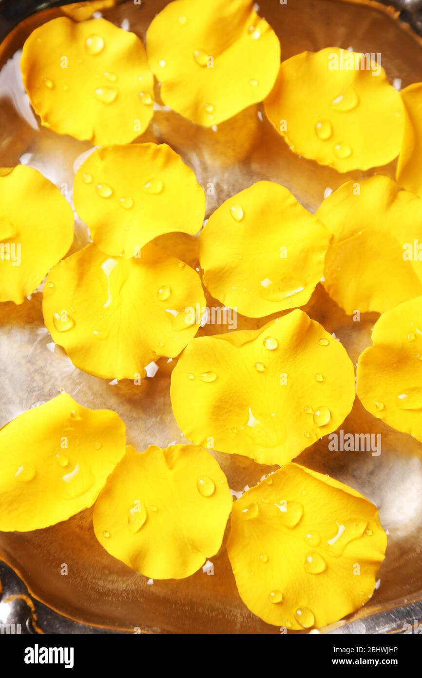 Rose petals in bowl hi-res stock photography and images - Alamy