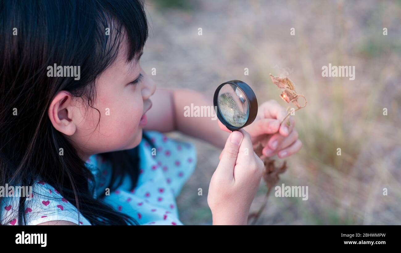 Happy asian child girl exploring nature with magnifying glass.16:9 style Stock Photo