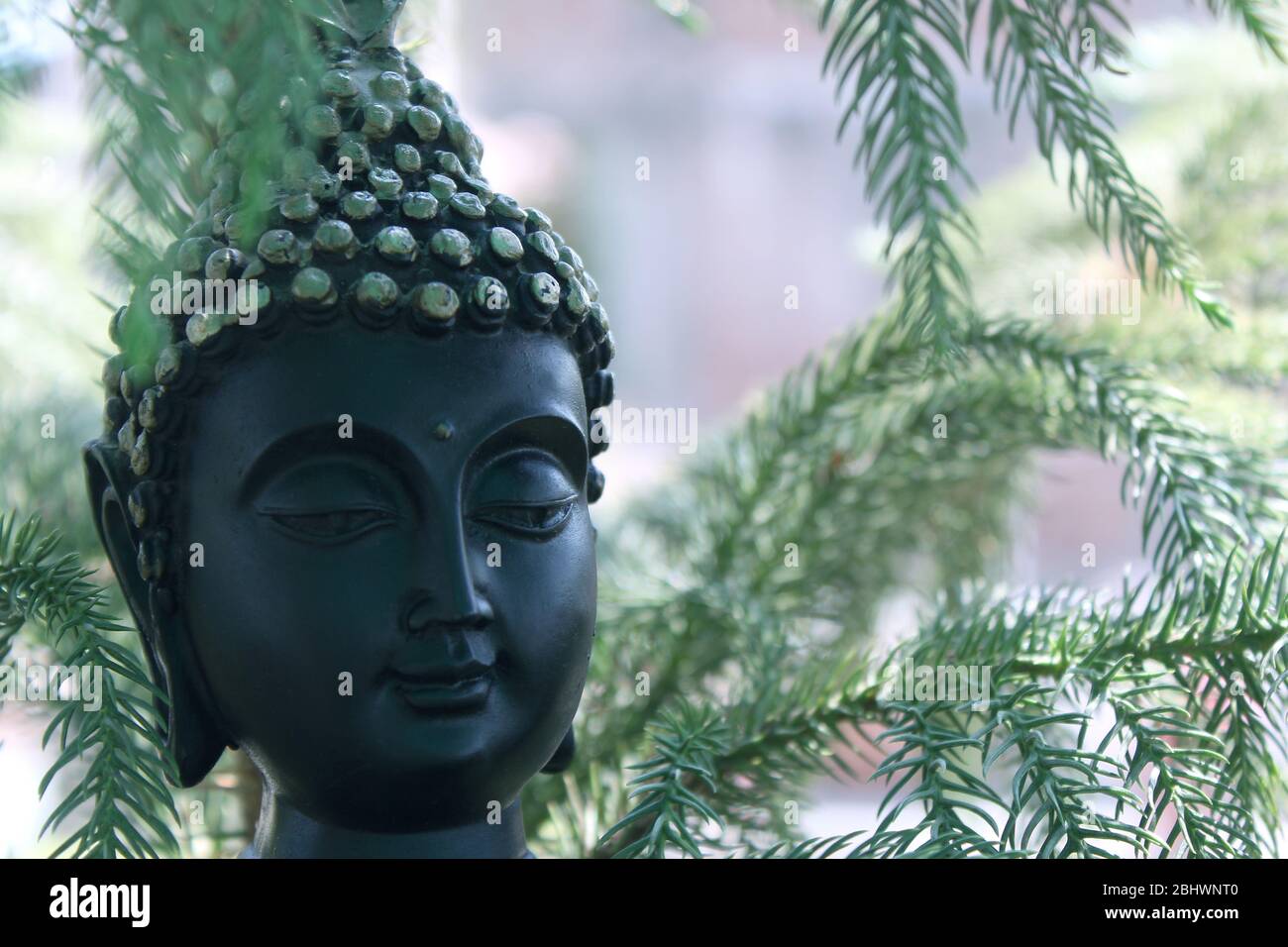 antique buddha god black face statue among green nature Stock Photo - Alamy