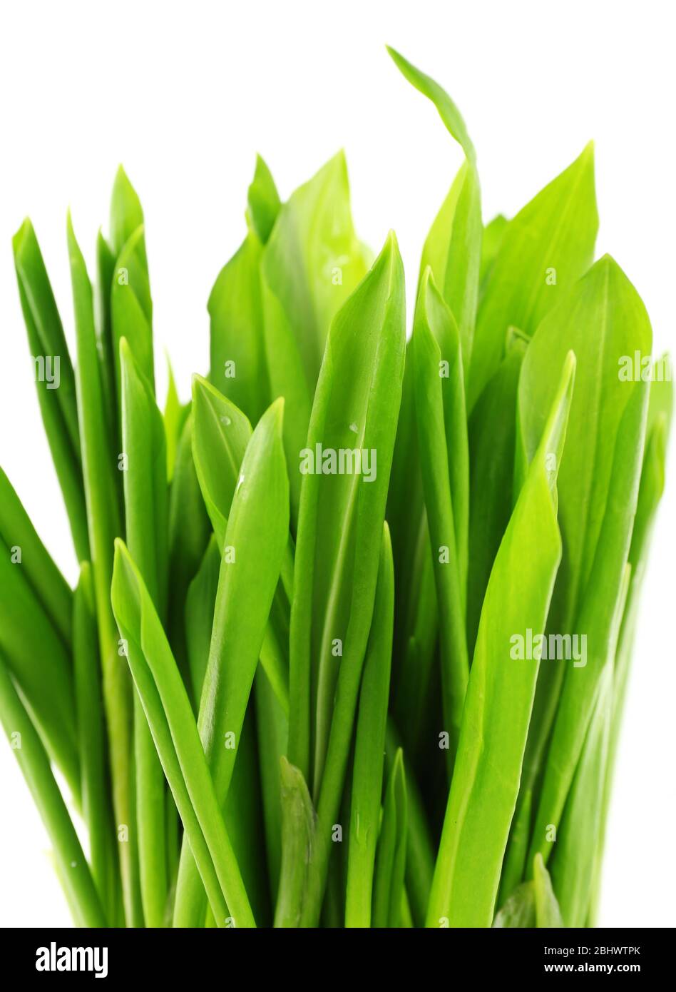 Wild leek isolated on white Stock Photo