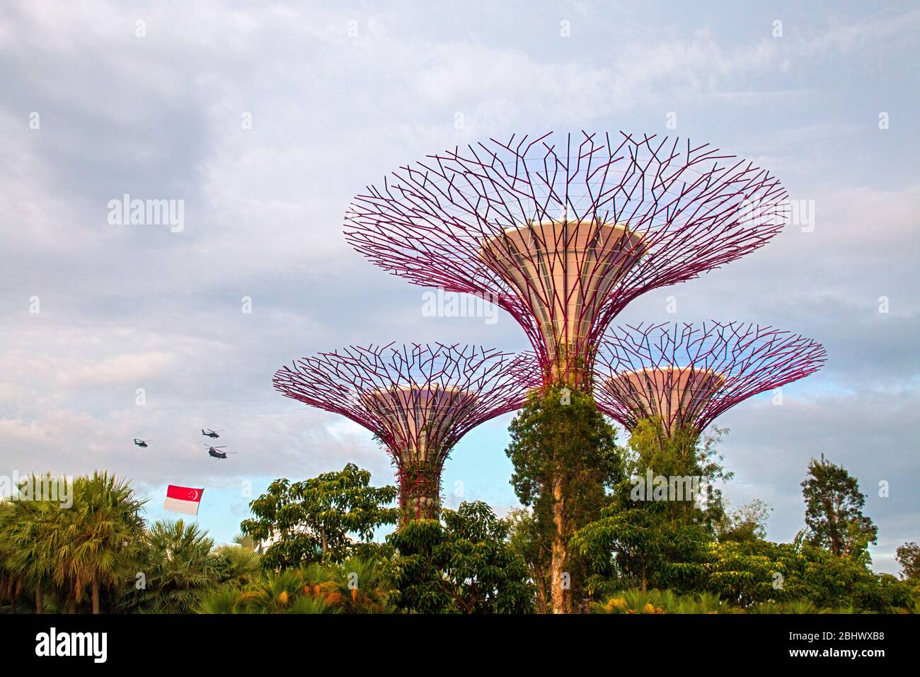 illuminated super tree groves at bay front gardens also known as