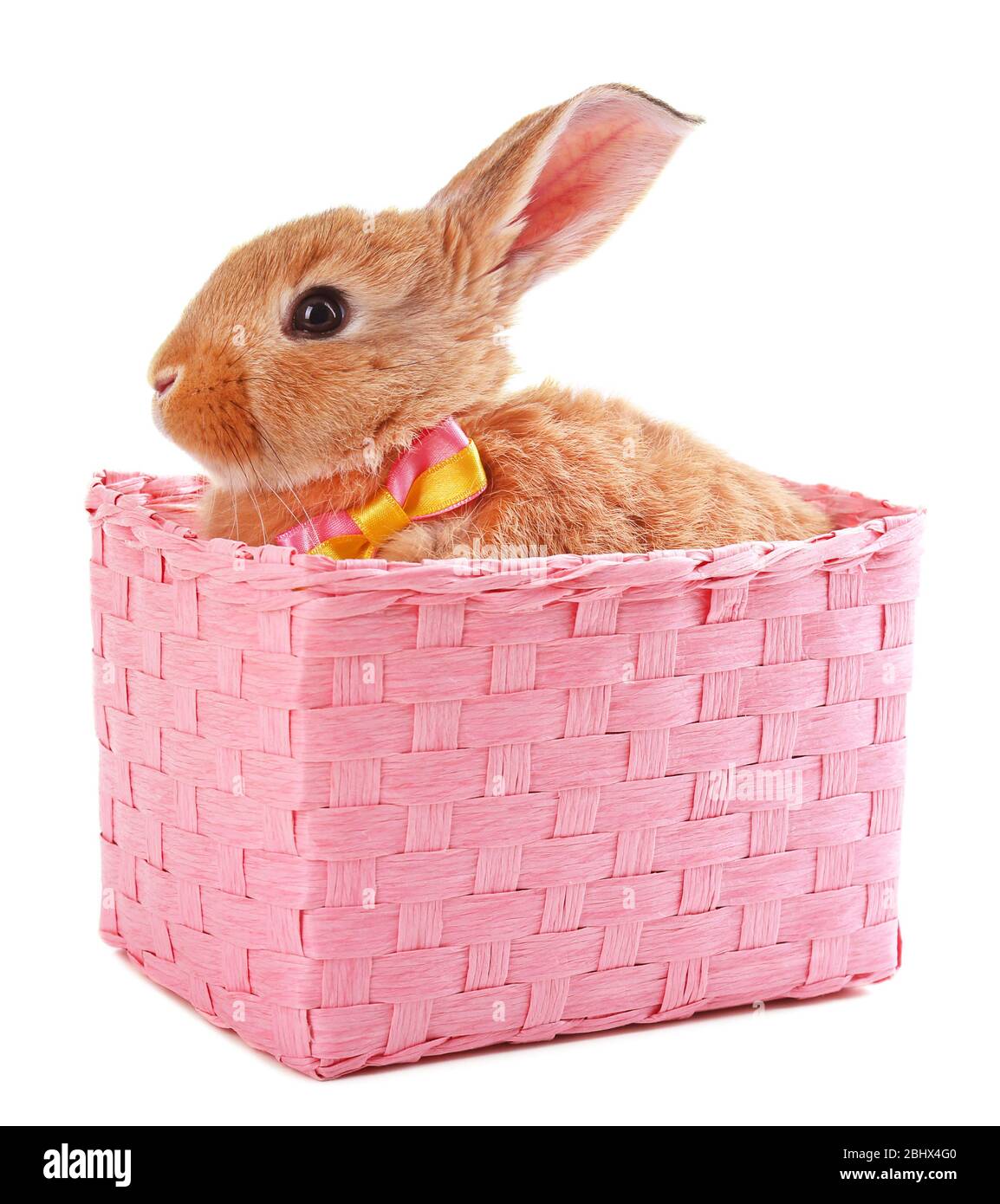 Little rabbit in wicker basket isolated on white Stock Photo - Alamy
