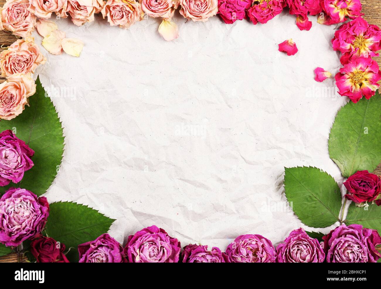 Dried roses on sheet of paper background Stock Photo - Alamy