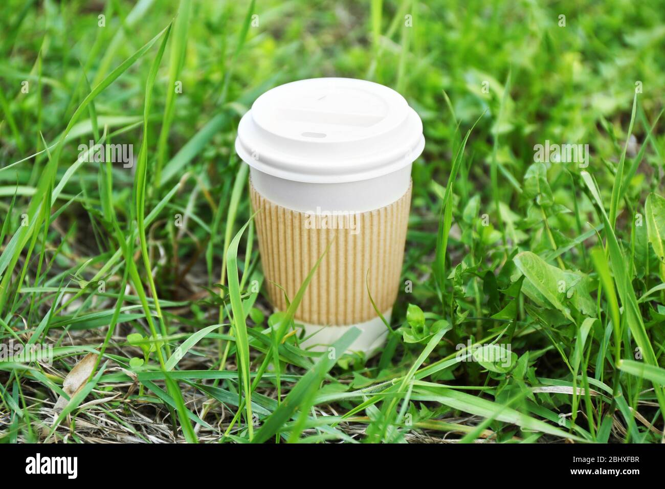 Paper cup on green grass background Stock Photo - Alamy