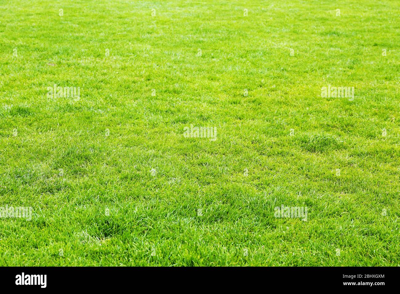 Football field stadium background Stock Photo - Alamy
