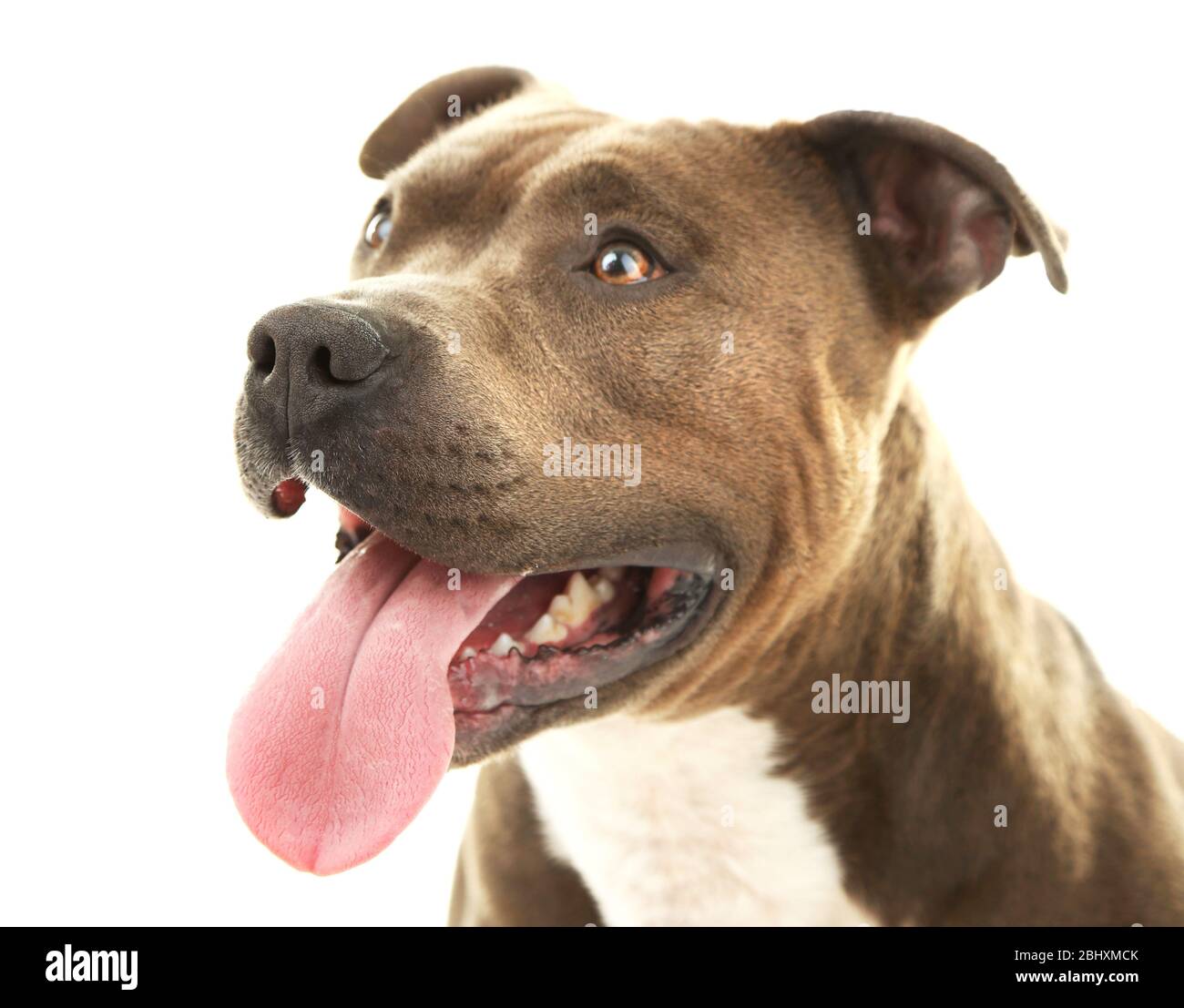 My Image 32