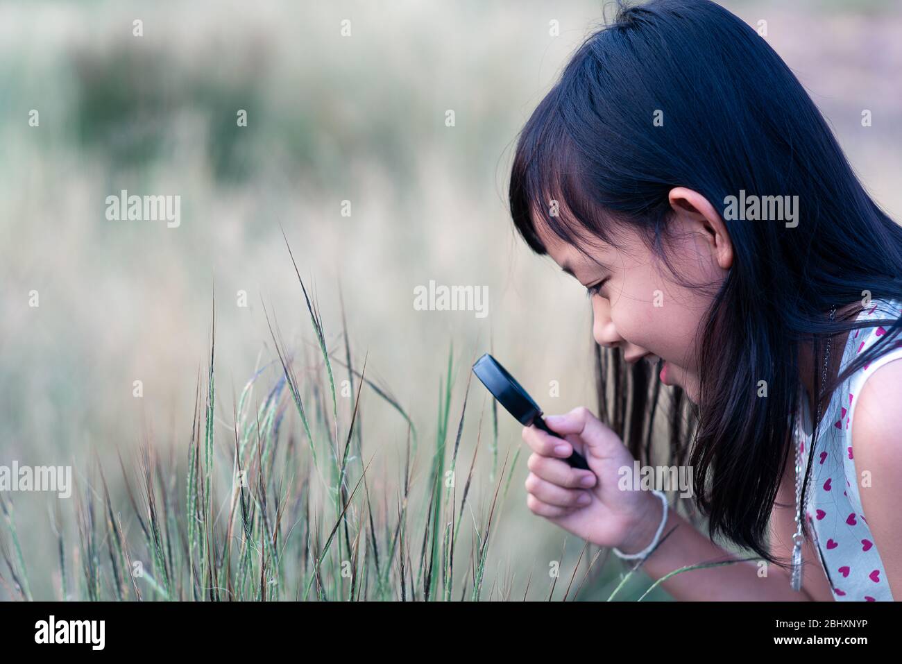 Happy asian child girl exploring nature with magnifying glass. Stock Photo