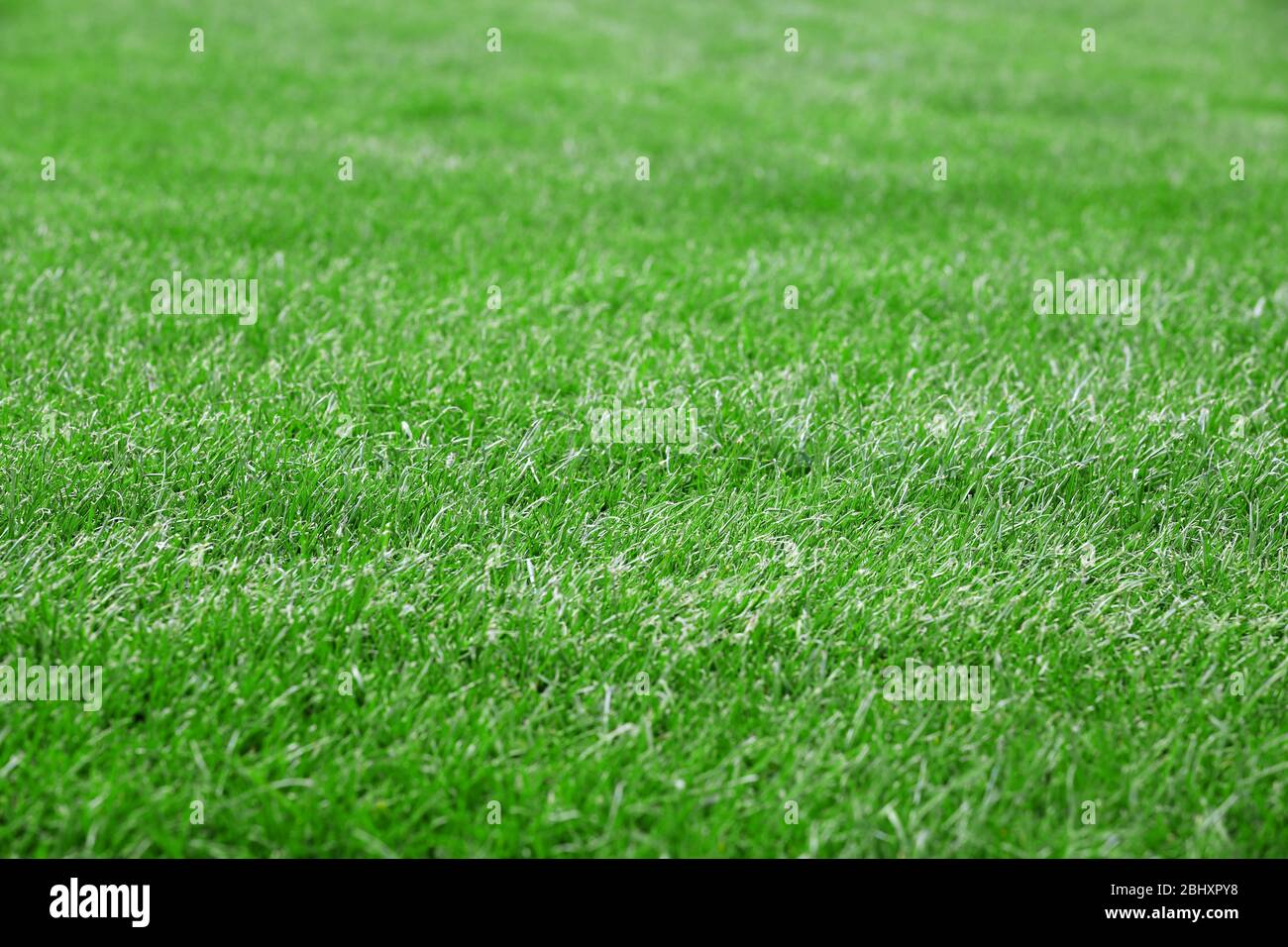 Green grass background Stock Photo - Alamy