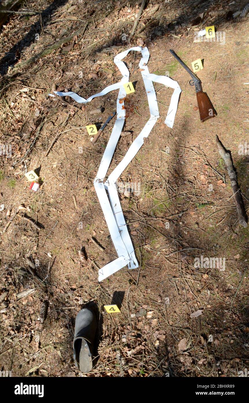 Crime scene setup with 'body' outline and numbered evidence markers in a forest. Stock Photo