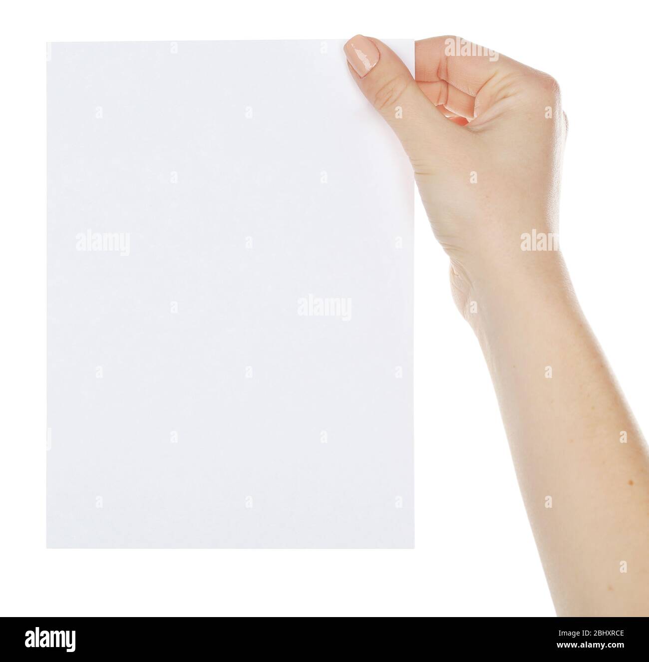 Hand holding blank card isolated on white Stock Photo - Alamy
