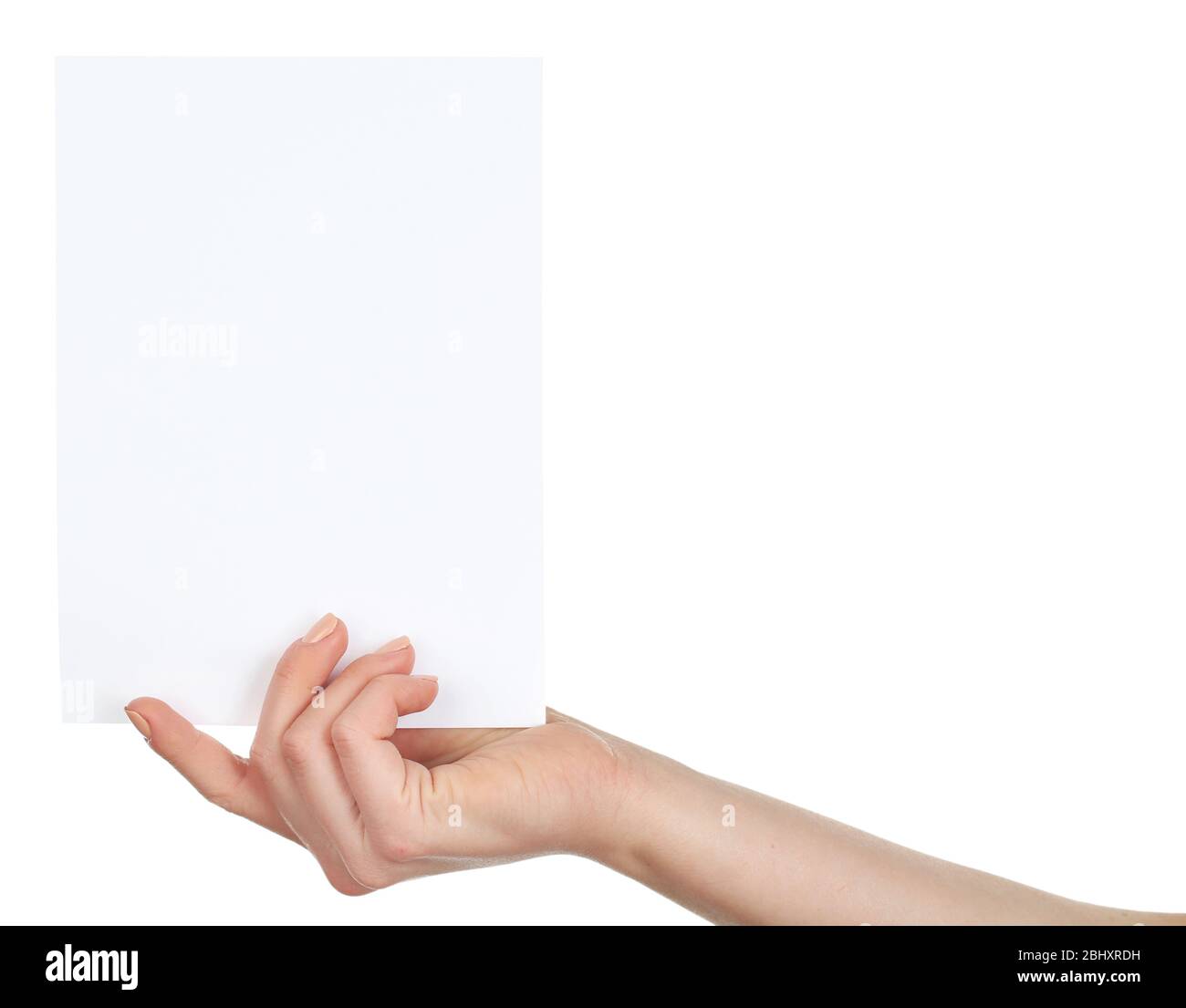 Hand holding blank card isolated on white Stock Photo - Alamy